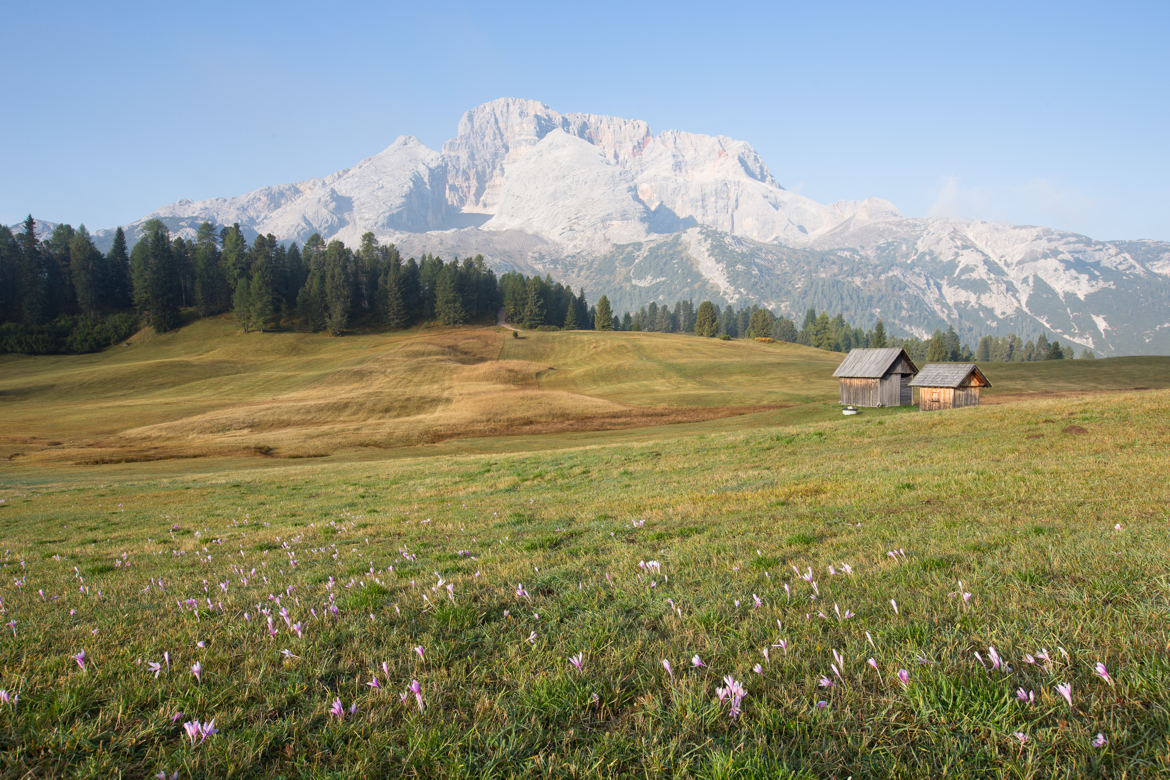 Hütten auf der Plätzwiese