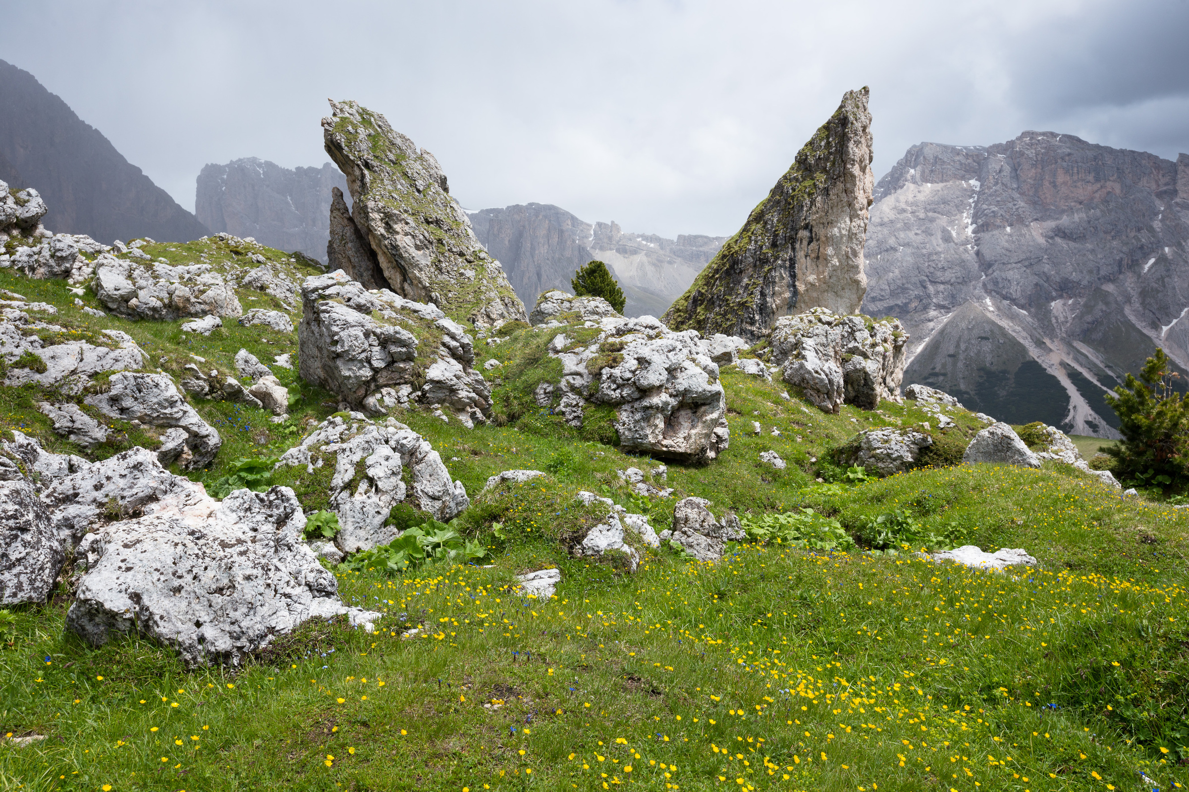 Felsnadel an der Pieralongia Alm